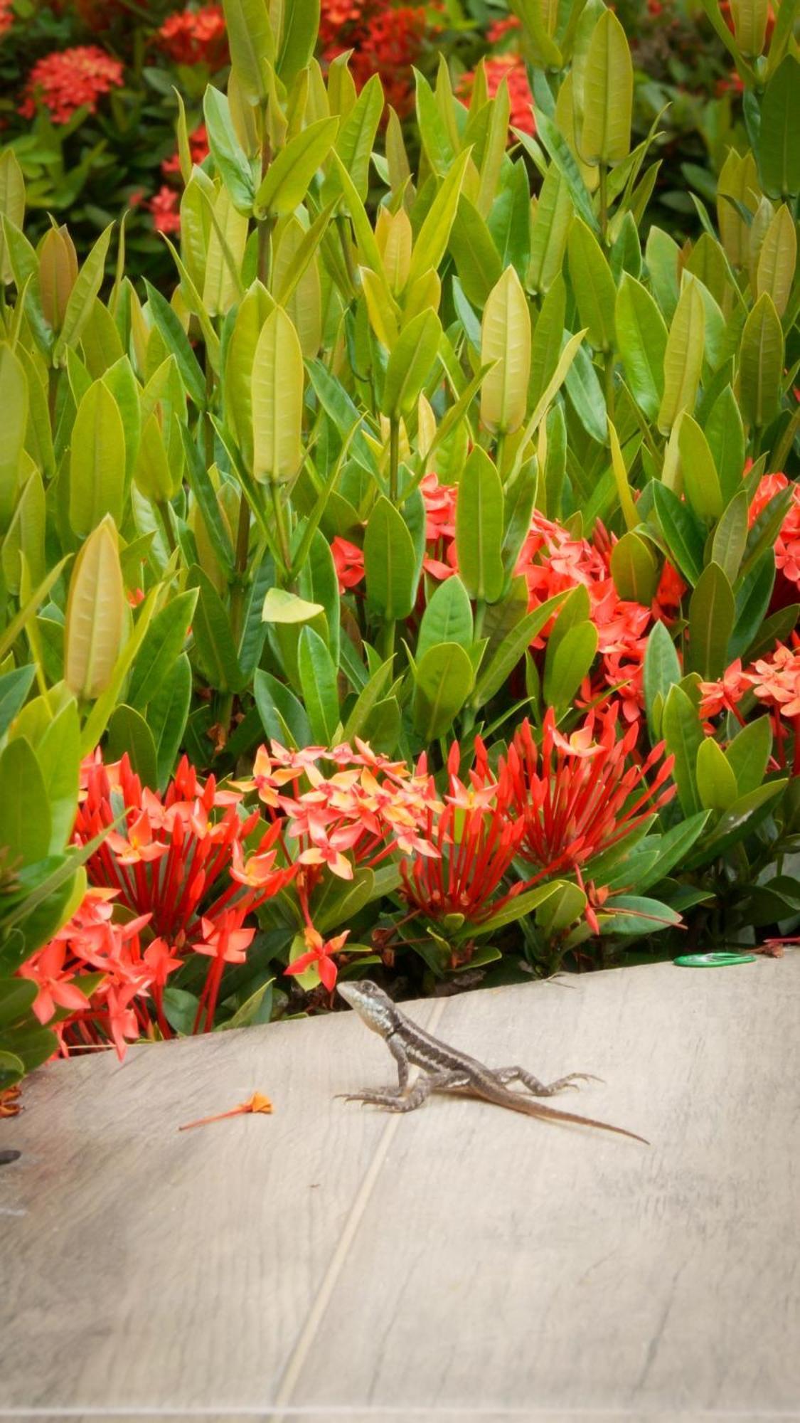 Bem Bahia Hotel - Rede Bem Bahia Mutari ภายนอก รูปภาพ